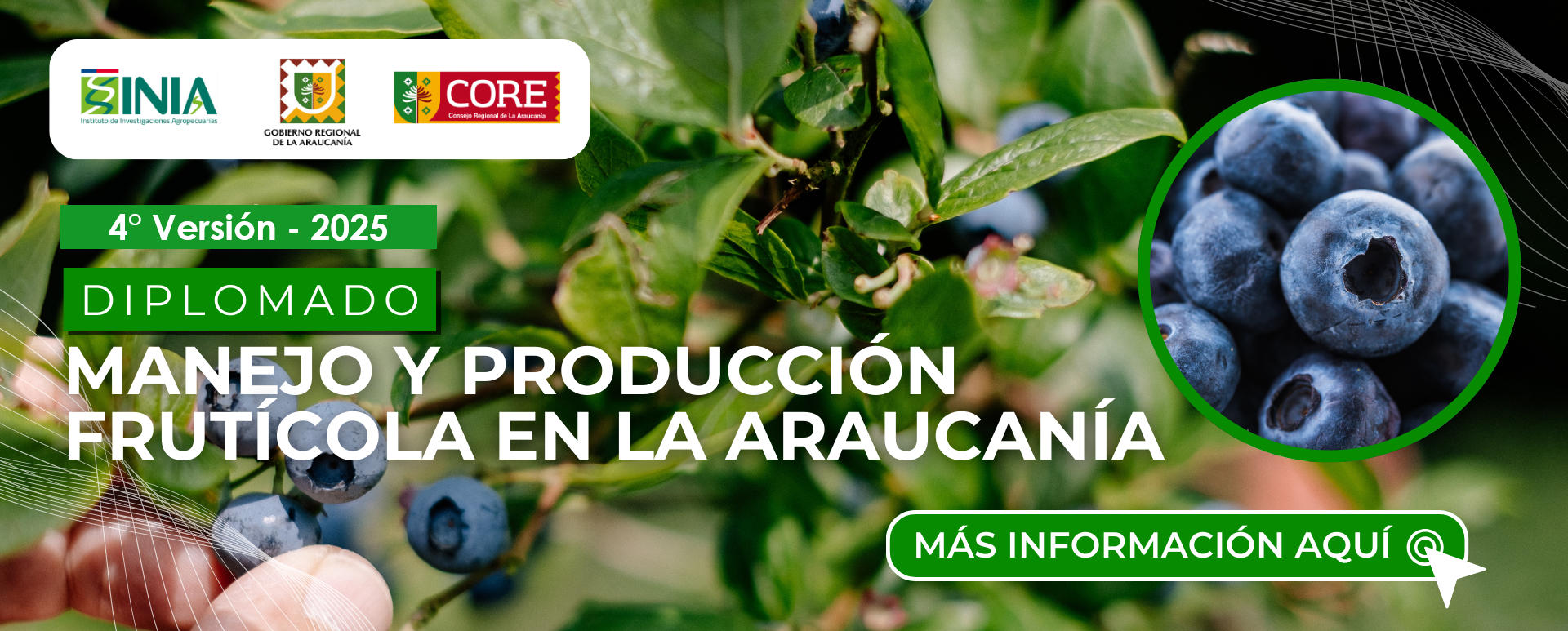 DIPLOMADO MANEJO Y PRODUCCIÓN FRUTÍCOLA EN LA ARAUCANÍA 2025